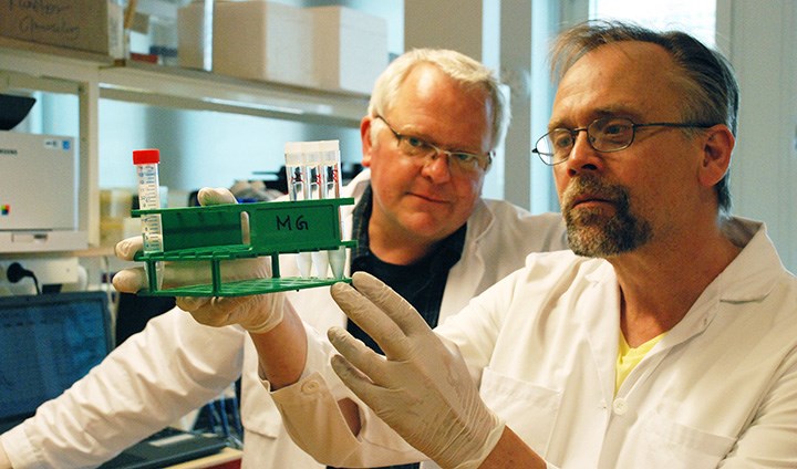 Knut Fälker tillsammans med Magnus Grenegård i labbet på Campus USÖ.