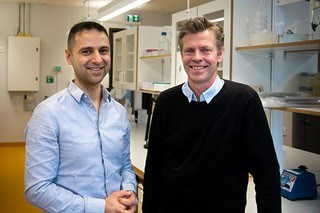 Hazem Khalaf and Torbjörn Bengtsson