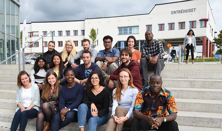 Sixteen researchers in the doctoral programme Newbreed