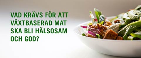 Bild på mat