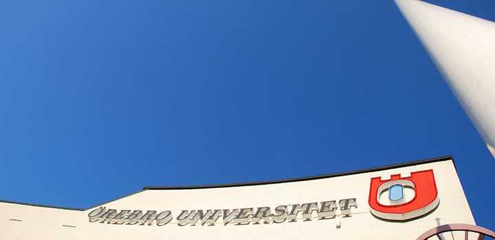 University internationalization strategy
