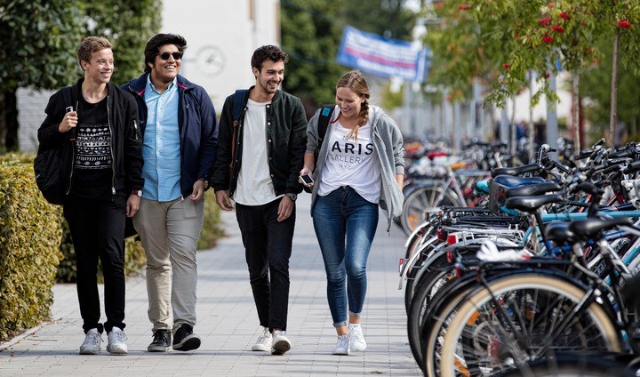 Fyra studenter promenerar mellan buskar och cykelställ.