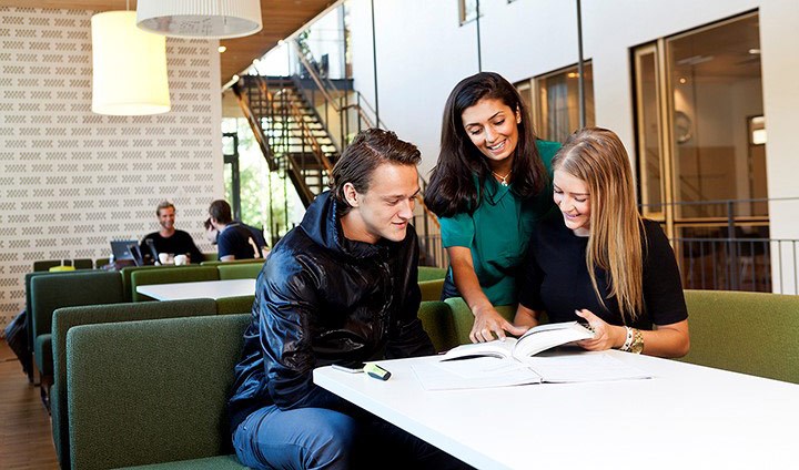 Några studenter sitter runt ett bord och studerar.