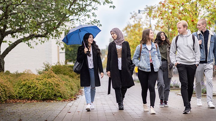 Sex studenter som går på campus.