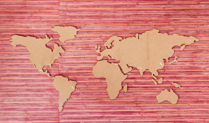 Bild med karta över världen