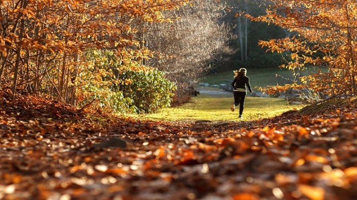En person springer bland löv och skog