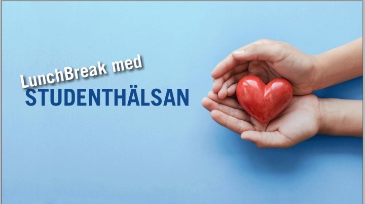 Två händer som håller i ett rött trädhjärta.