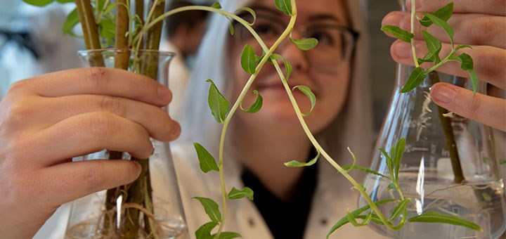 Student i laboratorium med växter