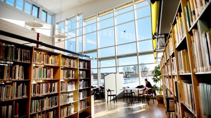 En bild av universitets bibliotek