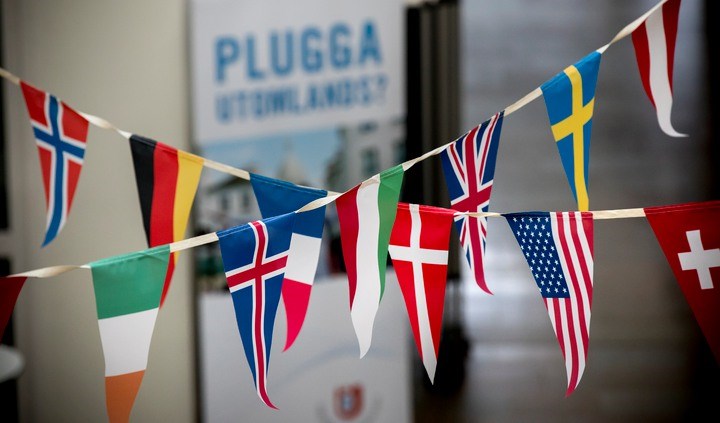 international flags