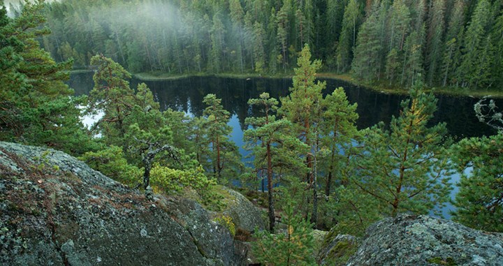 nature