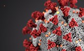 Mikroskopbild av coronavirus. 