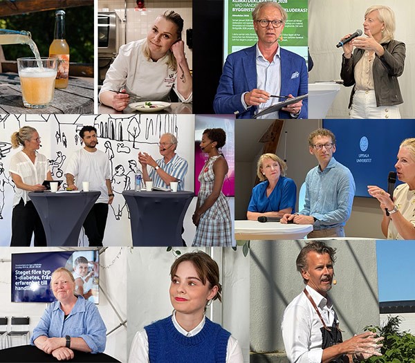 Publik framför en scen i Almedalen