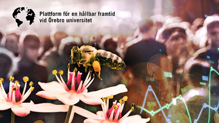 Collage of a bee on a flower with people in the background. The text across the picture reads Platform for a sustainable future at Örebro University.