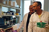 Knut Fälker together with Magnus Grenegård in the lab at Campus USÖ.